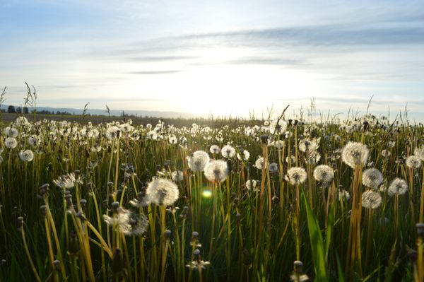 How Expectations Color Our Beautiful World