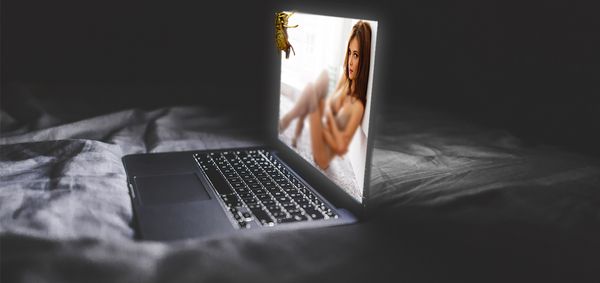 dangers of pornography