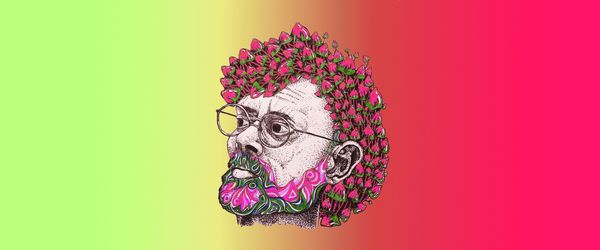 terence mckenna quotes